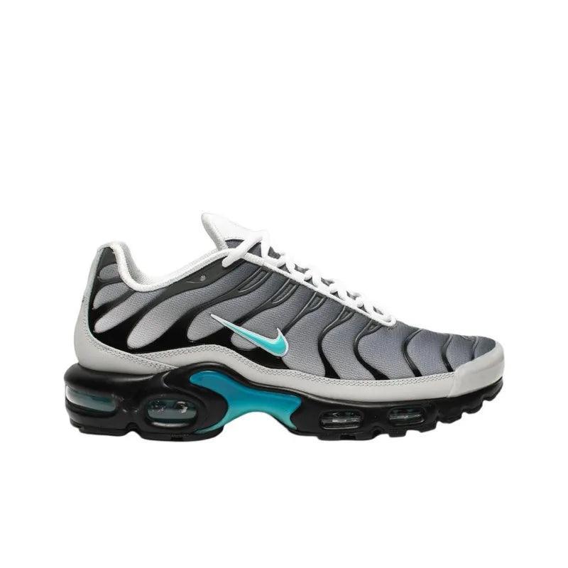 Nike Air Max Plus 'One Block Down Matte Silver' - SleekGait