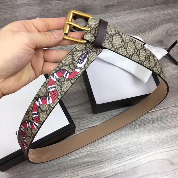 GUCCI - CANVAS BELT - SleekGait